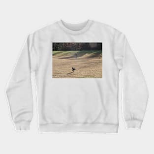 22 070202 Crewneck Sweatshirt